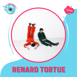 renard tortue blog inkluzik