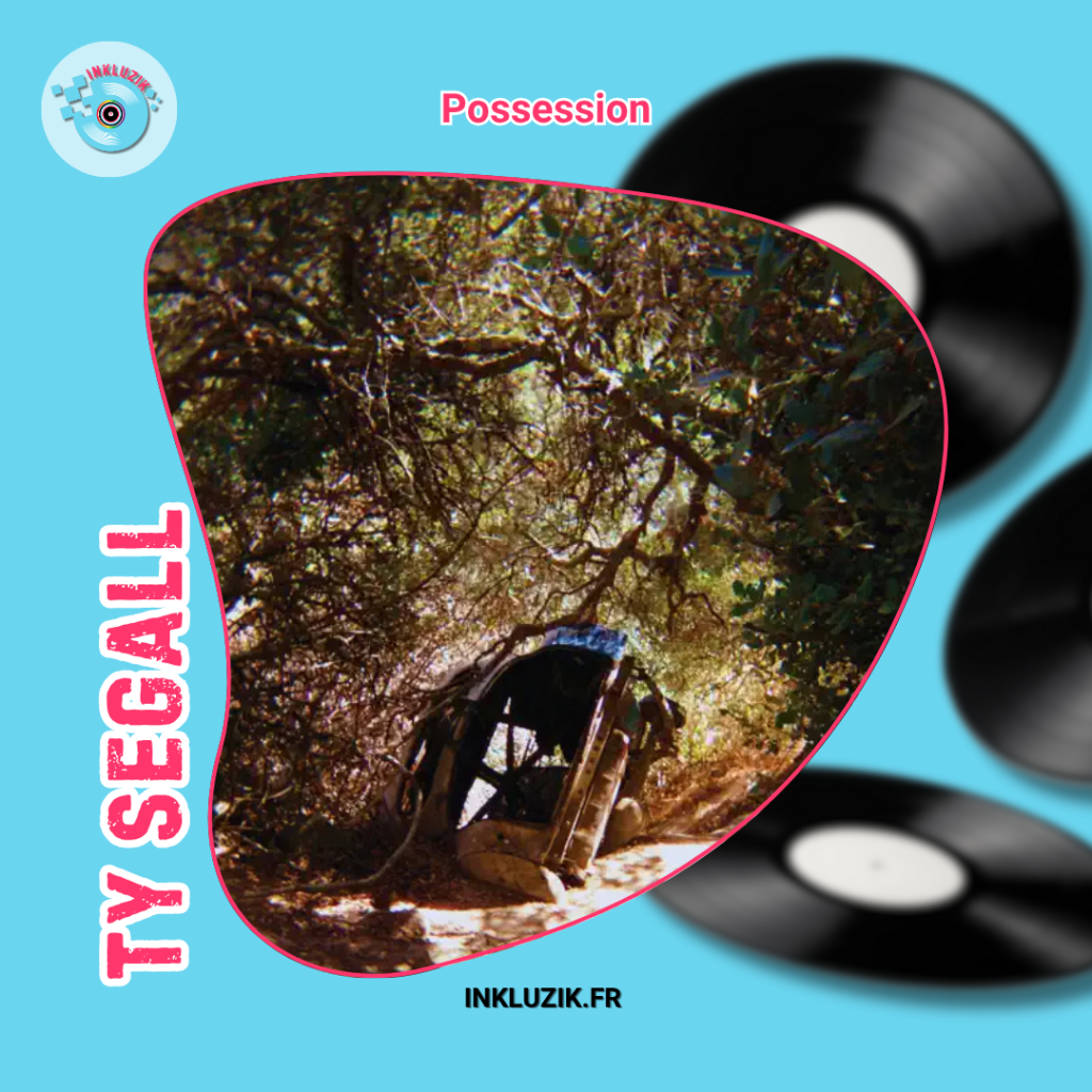 ty segall-possession