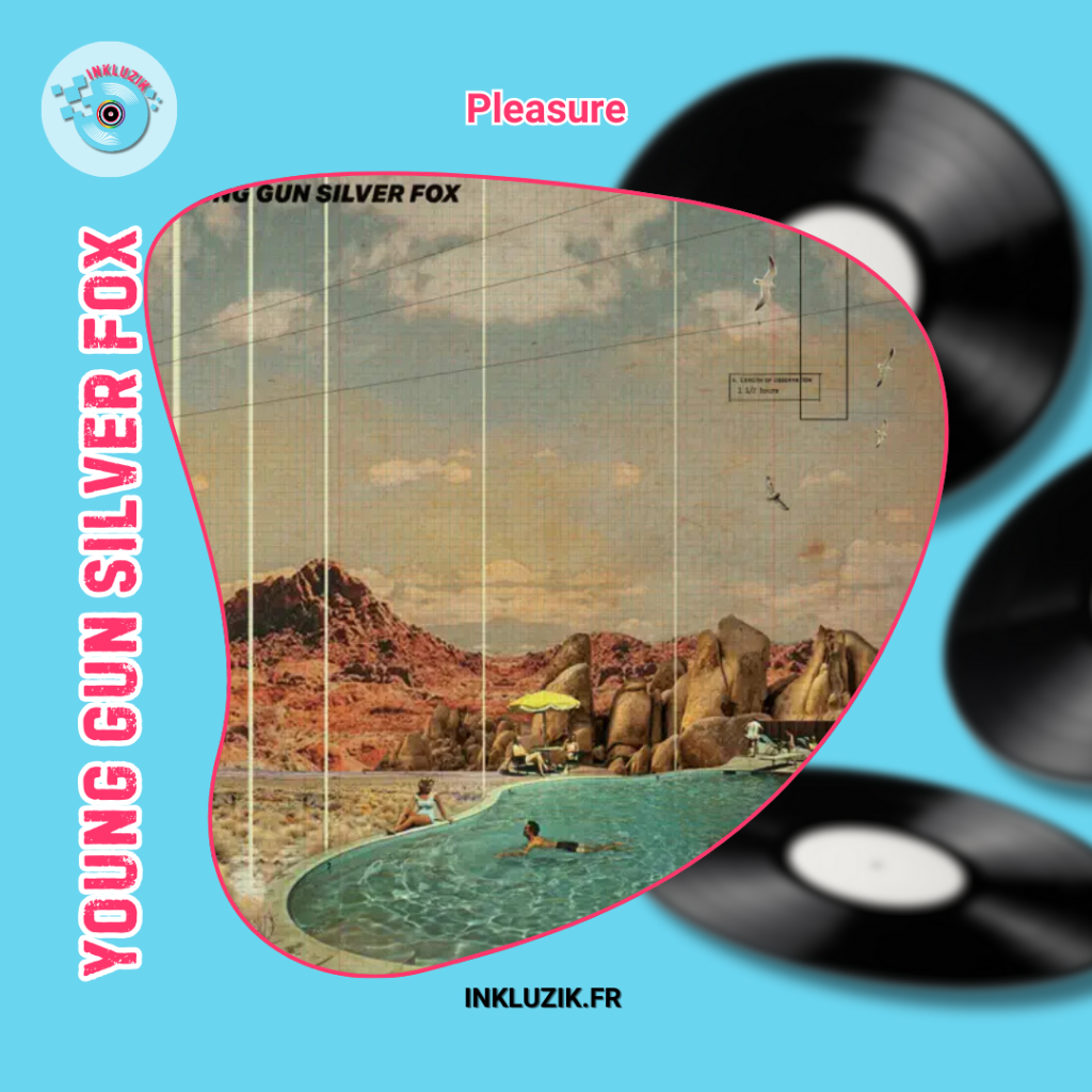 young gun silver fox-pleasure