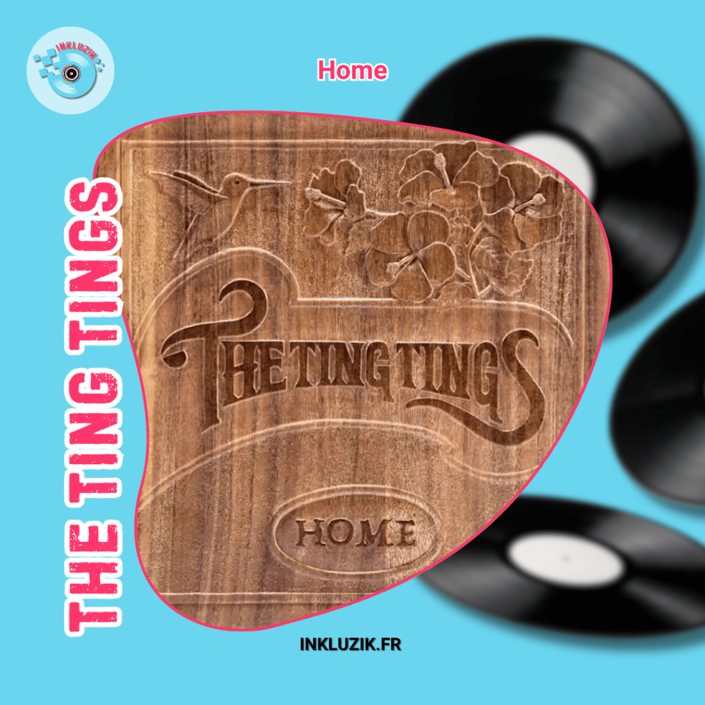 the ting tings-home