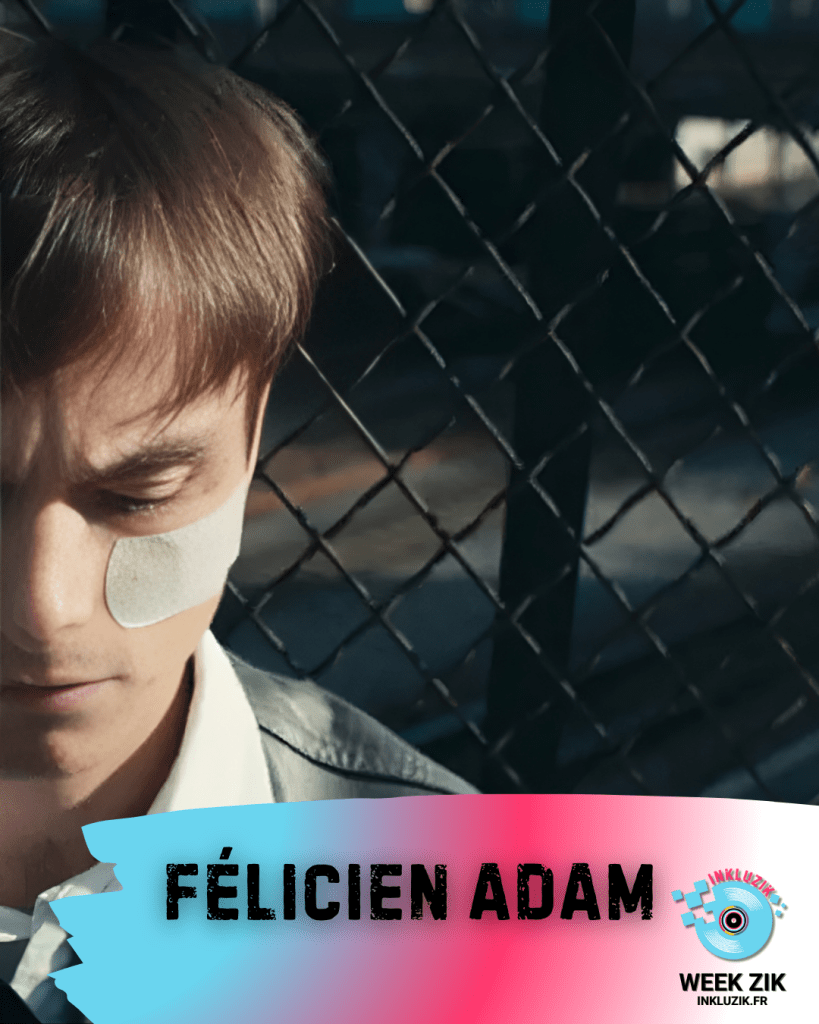 felicien adam-les problemes