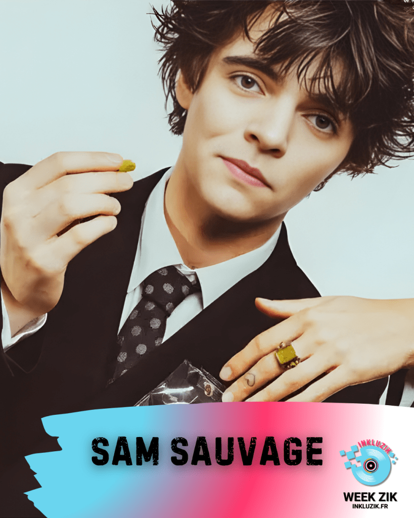 sam sauvage-ne t en fais pas pour elle