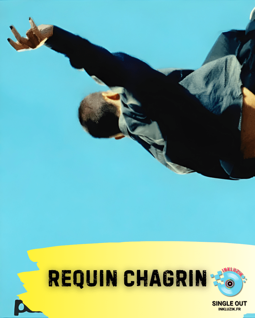 requin chagrin-parachute