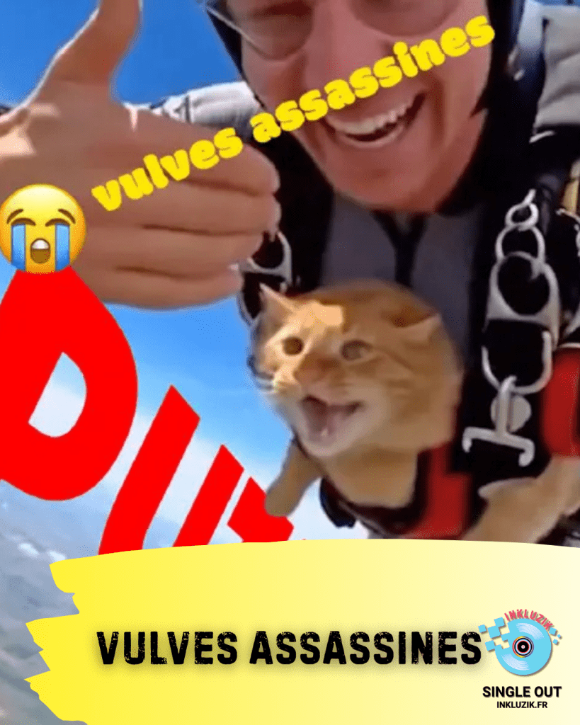 vulves assassines-putaclic