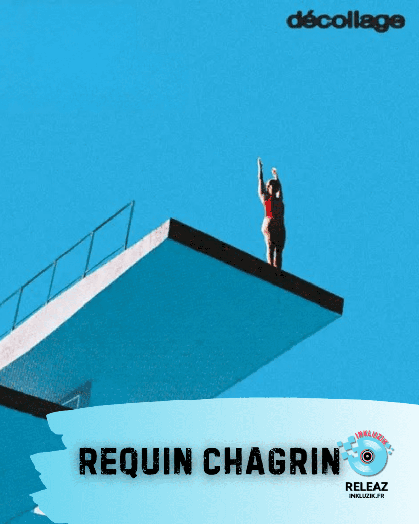 requin chagrin-decollage