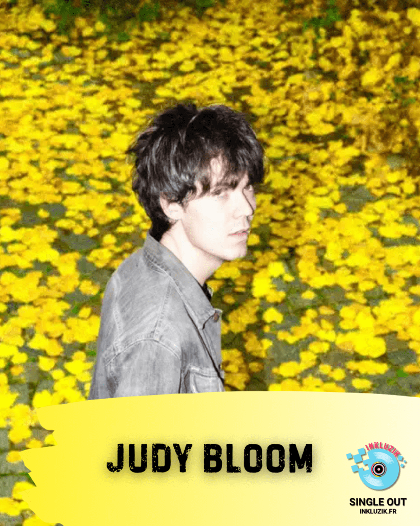judy bloom-fly