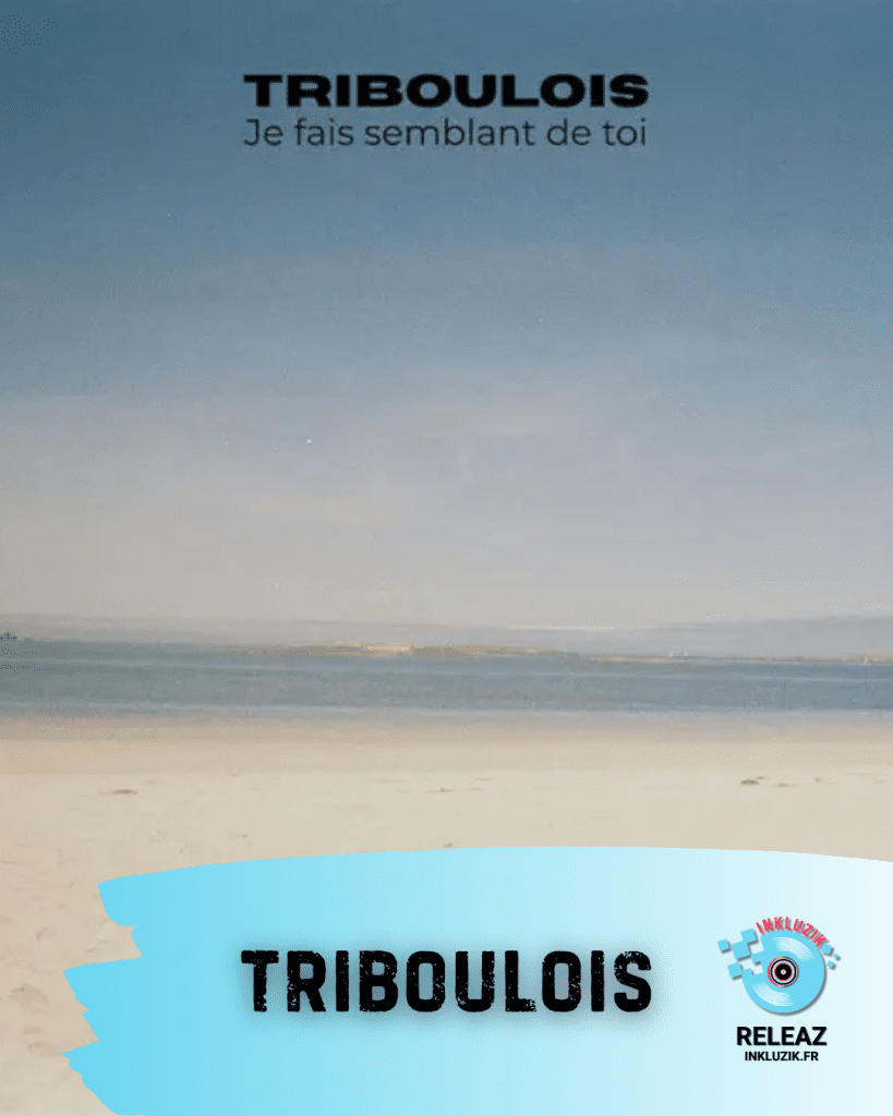 triboulois-je fais semblant de toi